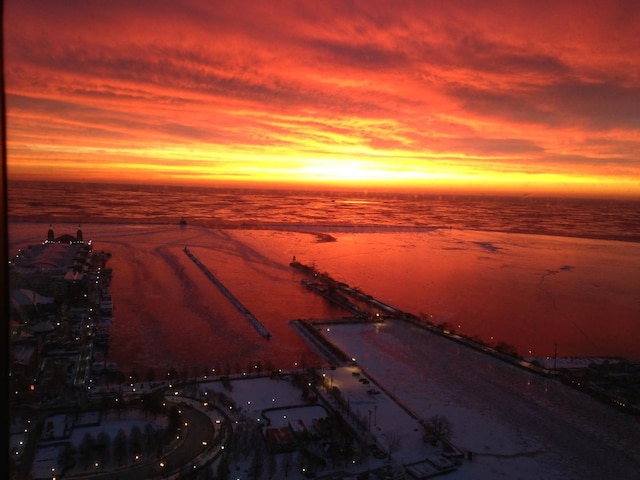 474 N Lake Shore Dr Unit 5306, Chicago, IL 60611 - water view