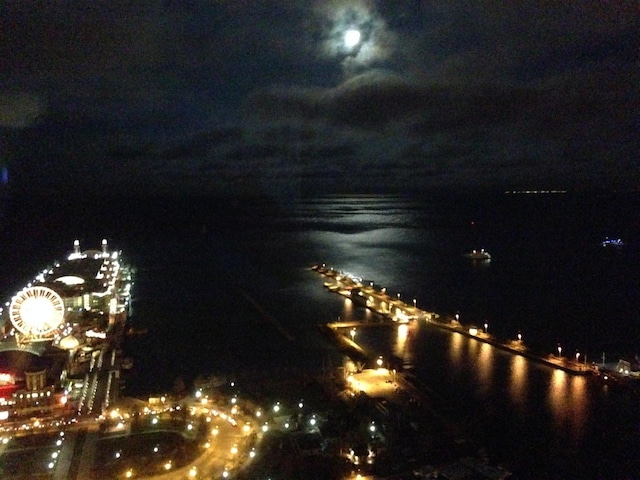 474 N Lake Shore Dr Unit 5306, Chicago, IL 60611 - water view