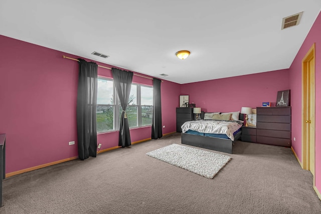 22334 Ojai Dr, Richton Park, IL 60471 - bedroom with carpet flooring and baseboards