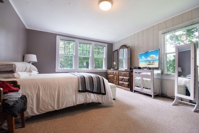 39270 N Lake Ave, Lake Villa, IL 60046 - carpeted bedroom with ornamental molding and wood walls
