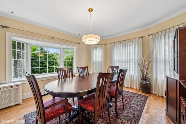 1117 Keystone Ave, River Forest, IL 60305 - dining space featuring radiator, plenty of natural light, ornamental molding, and light wood-style flooring