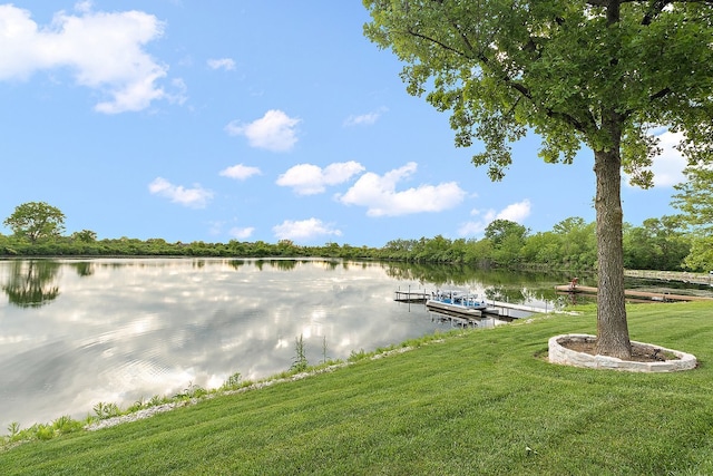 21186 Sage Brush Ln, Mokena, IL 60448 - dock with a water view and a lawn