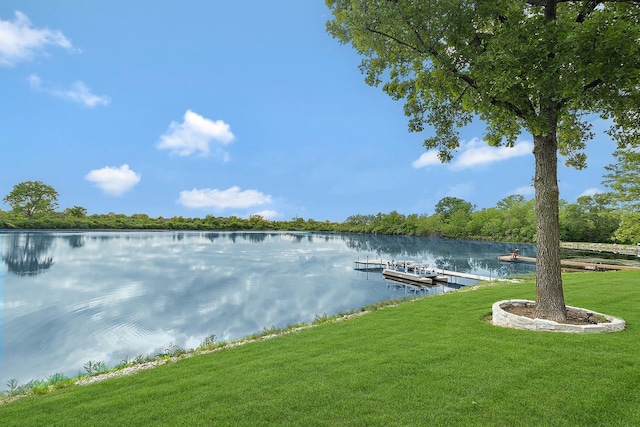 21186 Sage Brush Ln, Mokena, IL 60448 - dock with a lawn and a water view