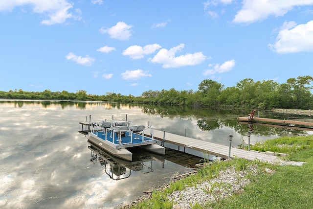 21186 Sage Brush Ln, Mokena, IL 60448 - dock area featuring a water view