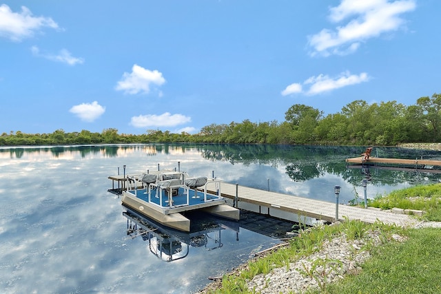 21186 Sage Brush Ln, Mokena, IL 60448 - dock area with a water view