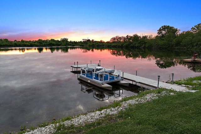 21186 Sage Brush Ln, Mokena, IL 60448 - dock featuring a water view