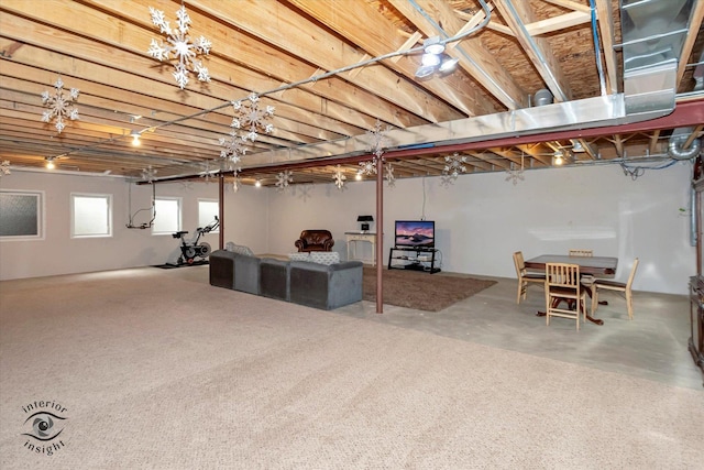 1233 Prairie Ln, Lemont, IL 60439 - view of basement