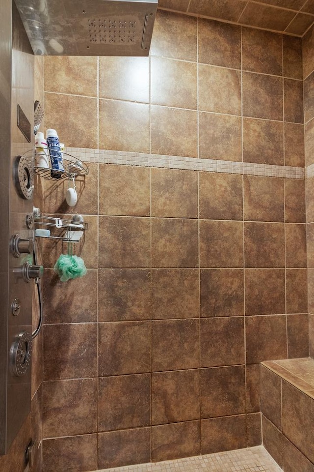 10920 Preservation Way, Richmond, IL 60071 - full bath featuring tiled shower