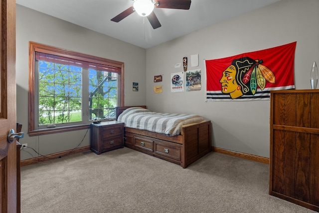 10920 Preservation Way, Richmond, IL 60071 - carpeted bedroom with baseboards and a ceiling fan
