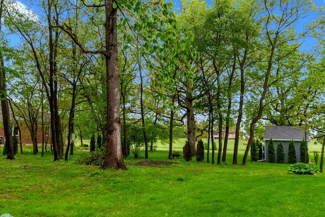 10920 Preservation Way, Richmond, IL 60071 - view of green lawn