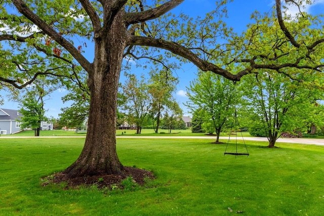 10920 Preservation Way, Richmond, IL 60071 - view of grassy yard