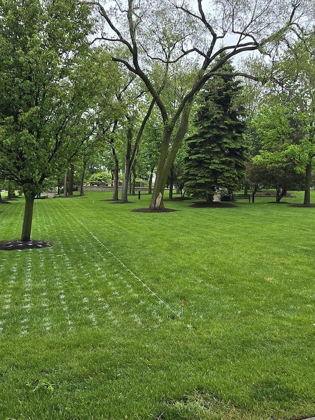 177 E Fullerton Ave, Glendale Heights, IL 60139 - view of grassy yard