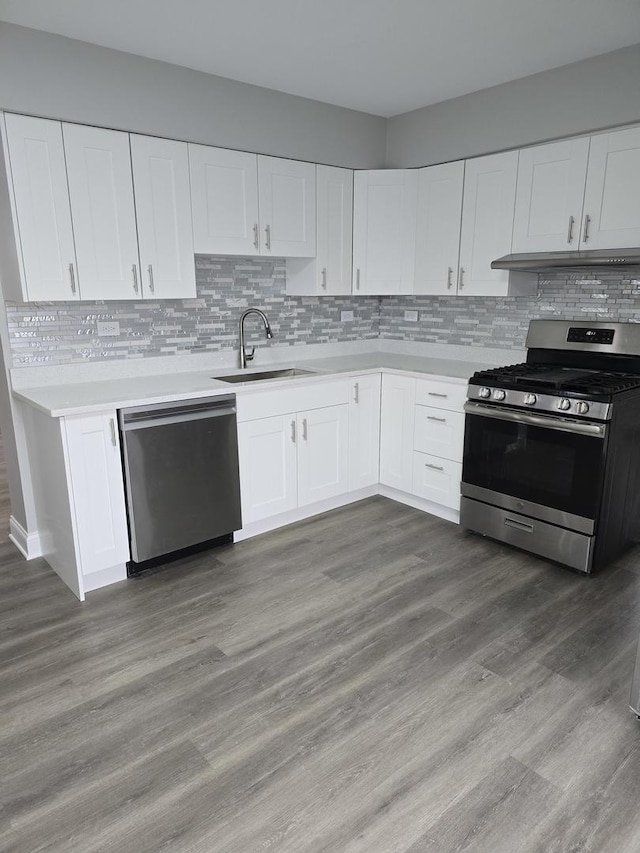 177 E Fullerton Ave, Glendale Heights, IL 60139 - kitchen with stainless steel appliances, a sink, under cabinet range hood, and light countertops