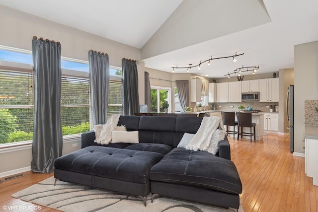 31730 N Clearwater Dr, Lakemoor, IL 60051 - living area featuring light wood-type flooring, lofted ceiling, and baseboards