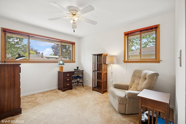 505 S George St, Mount Prospect, IL 60056 - photo 9