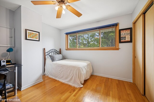 505 S George St, Mount Prospect, IL 60056 - photo 10