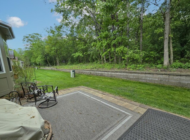 17025 Burton Ave, Lockport, IL 60441 - photo 21