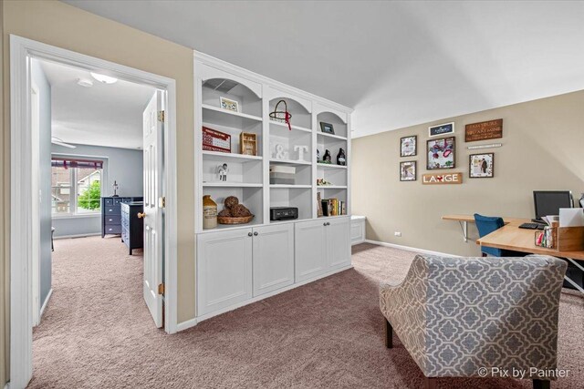 3208 Raphael Ct, Saint Charles, IL 60175 - home office with light colored carpet and baseboards