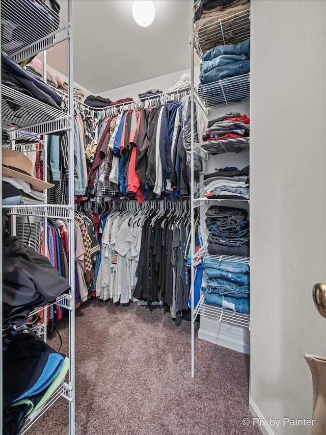 3208 Raphael Ct, Saint Charles, IL 60175 - spacious closet with carpet floors