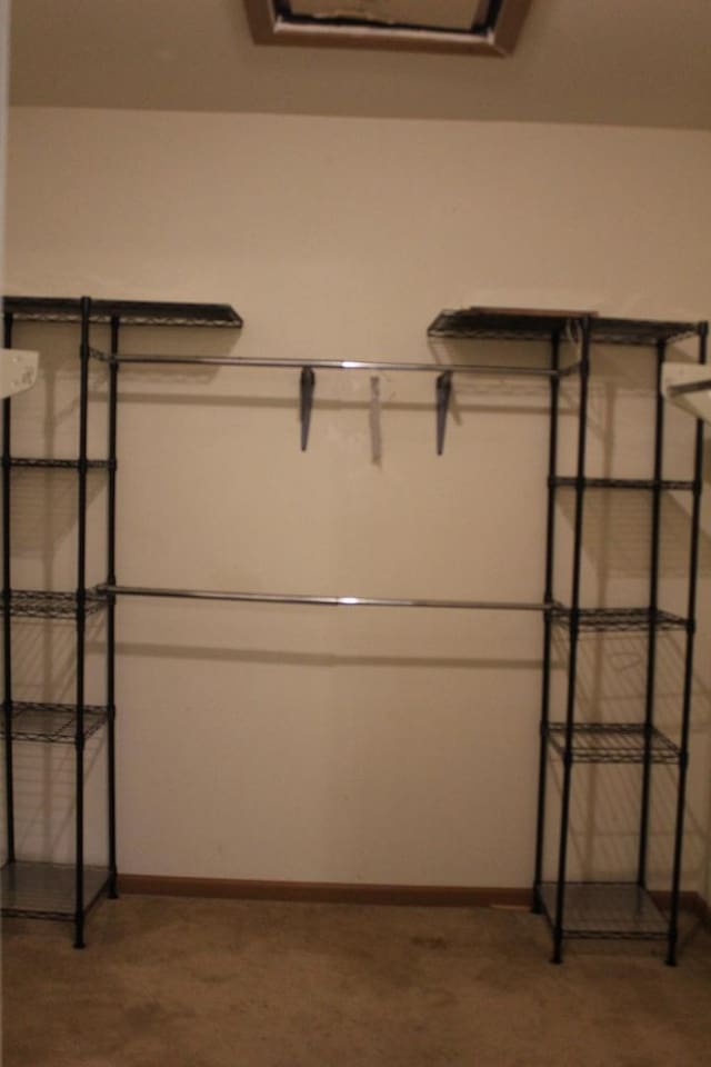 2364 S St Unit C, Elgin, IL 60123 - spacious closet featuring carpet flooring