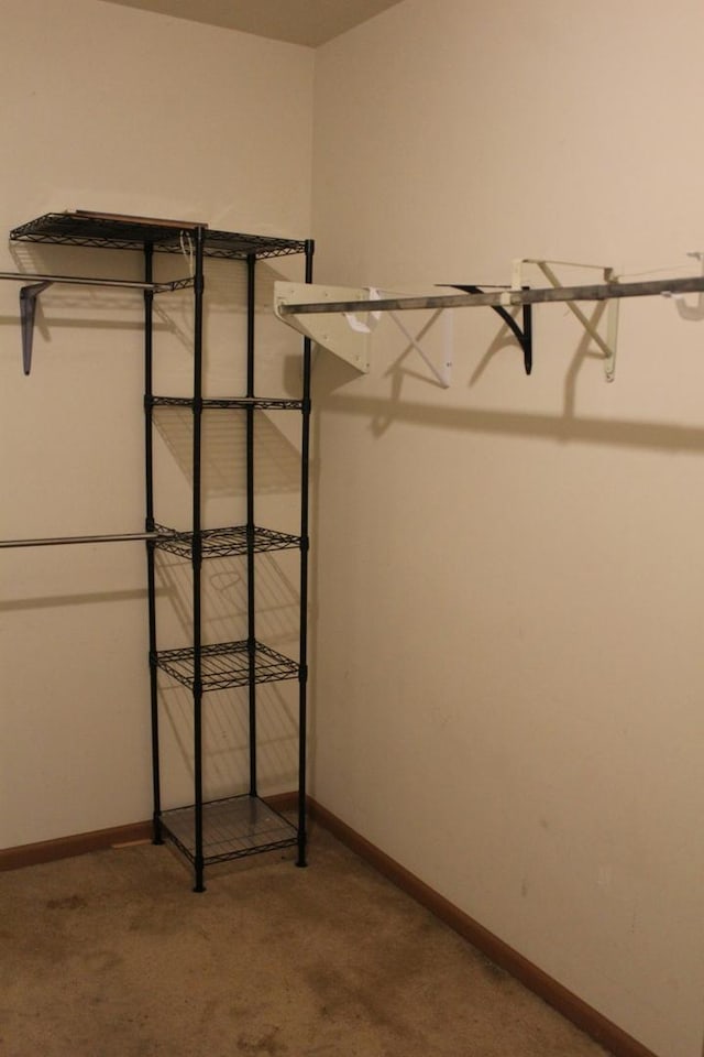 2364 S St Unit C, Elgin, IL 60123 - spacious closet with carpet floors