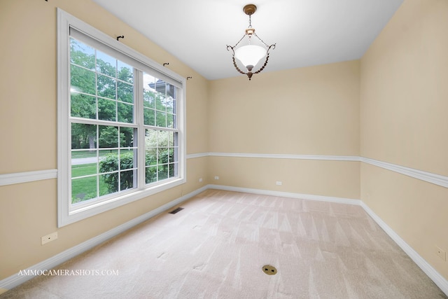 792 Black Walnut Dr, Sugar Grove, IL 60554 - unfurnished room with healthy amount of natural light and carpet floors