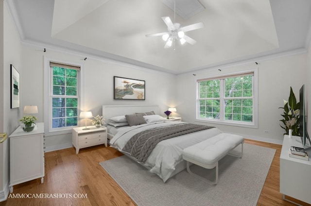 792 Black Walnut Dr, Sugar Grove, IL 60554 - bedroom with a raised ceiling, light wood-style floors, ceiling fan, and crown molding