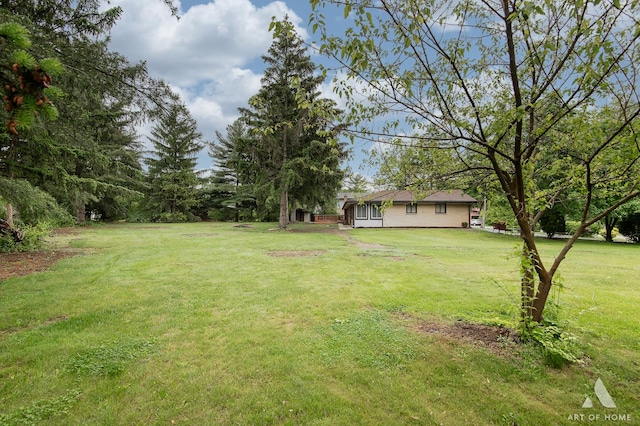 14940 Wilco Dr, Homer Glen, IL 60491 - view of green lawn