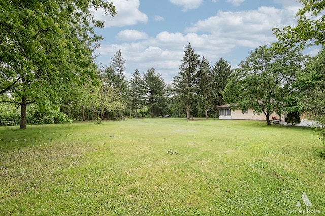 14940 Wilco Dr, Homer Glen, IL 60491 - view of green lawn