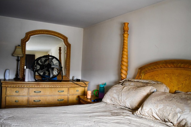 17429 W Chestnut Ln, Gurnee, IL 60031 - view of bedroom