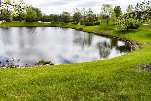 17429 W Chestnut Ln, Gurnee, IL 60031 - water view
