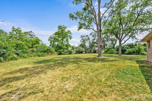278 W Richton Rd, Crete, IL 60417 - photo 23