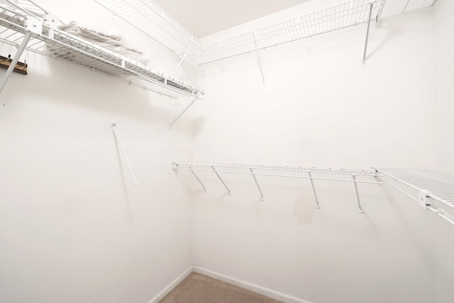 876 Dandridge Ct, Elgin, IL 60120 - spacious closet featuring carpet