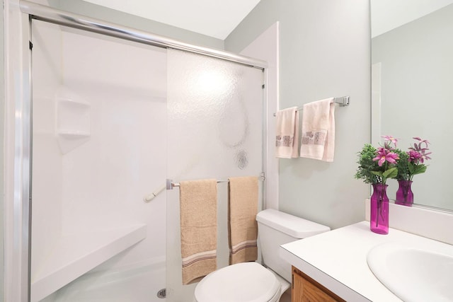 876 Dandridge Ct, Elgin, IL 60120 - full bathroom with a shower stall, vanity, and toilet