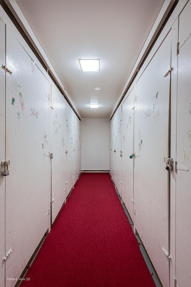 6525 Main St Unit 204, Downers Grove, IL 60516 - hallway with carpet floors