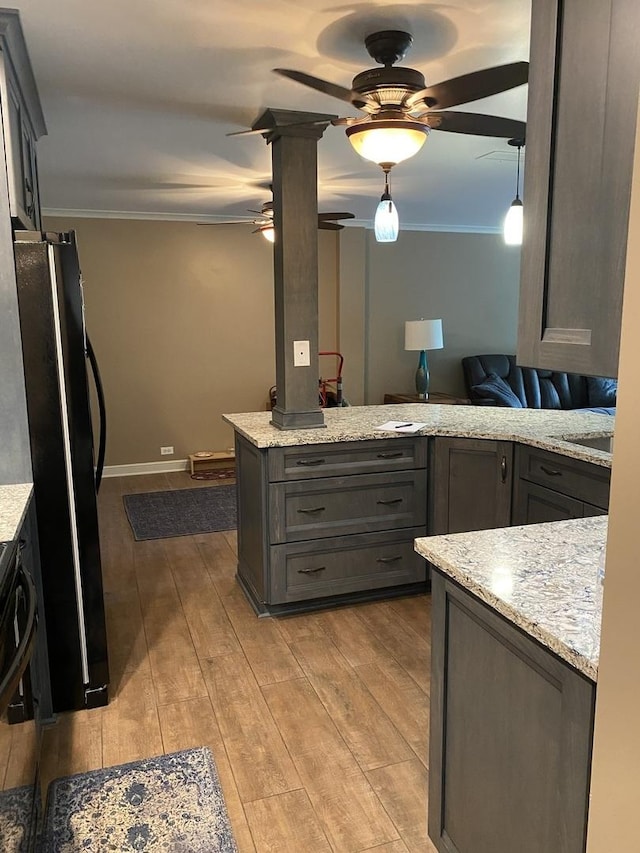 6525 Main St Unit 204, Downers Grove, IL 60516 - kitchen with a ceiling fan, crown molding, hardwood / wood-style floors, freestanding refrigerator, and light stone countertops