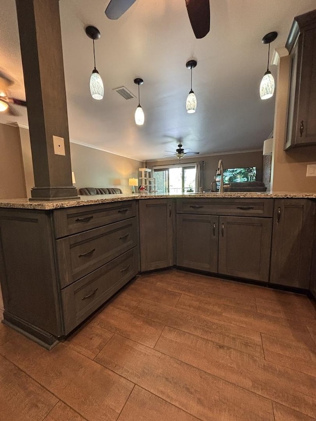 6525 Main St Unit 204, Downers Grove, IL 60516 - kitchen with a ceiling fan, wood-type flooring, pendant lighting, and a peninsula