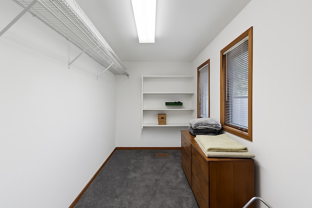 172 Hamilton Ave, Frankfort, IL 60423 - walk in closet with dark carpet