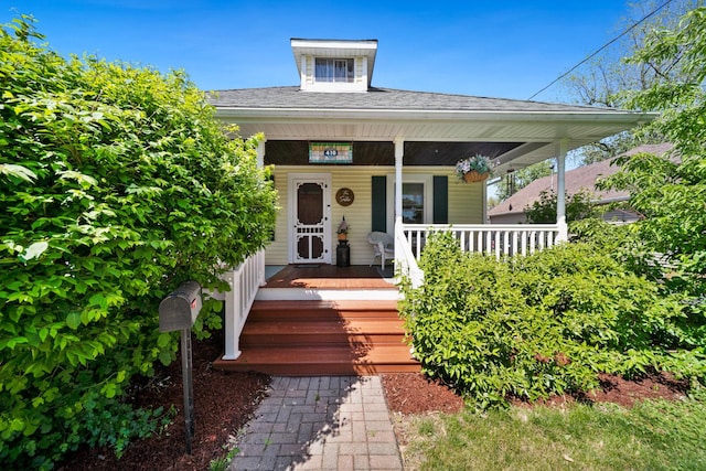 entrance to property with a porch and a shingled roof