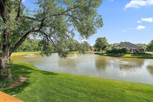 13093 Timber Ct Unit 61, Palos Heights, IL 60463 - water view