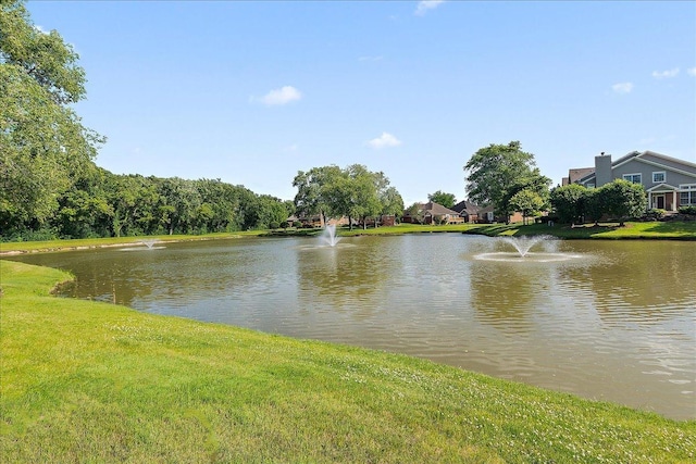 13093 Timber Ct Unit 61, Palos Heights, IL 60463 - water view