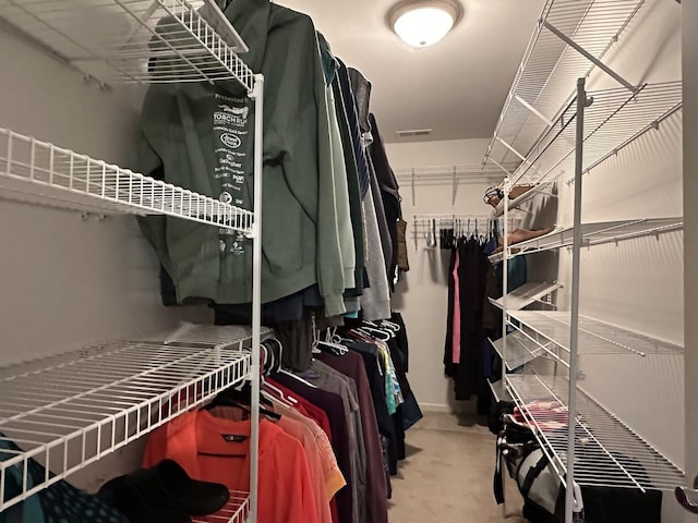 445 Spring Park Loop, Bourbonnais, IL 60914 - walk in closet featuring carpet floors