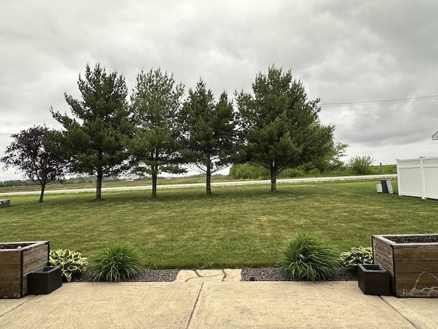 445 Spring Park Loop, Bourbonnais, IL 60914 - view of grassy yard