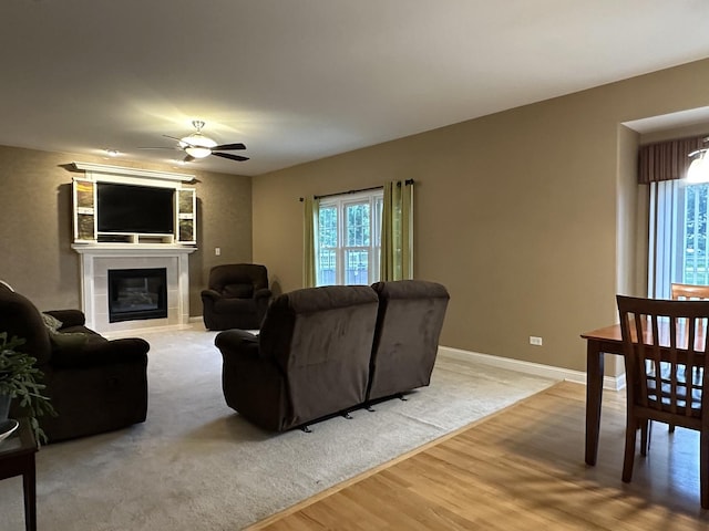 445 Spring Park Loop, Bourbonnais, IL 60914 - living area featuring light wood-type flooring, plenty of natural light, a ceiling fan, and a glass covered fireplace