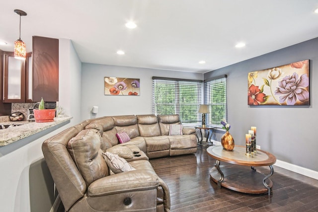1 Churchill Ct, South Elgin, IL 60177 - living room featuring dark wood-type flooring, recessed lighting, and baseboards