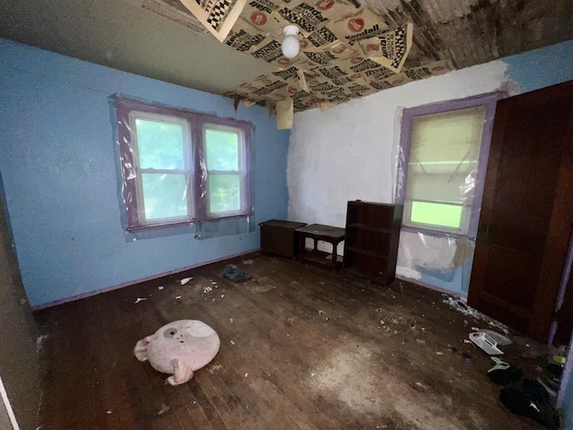 103 W 2nd St, Broadlands, IL 61816 - unfurnished room with wood finished floors and plenty of natural light