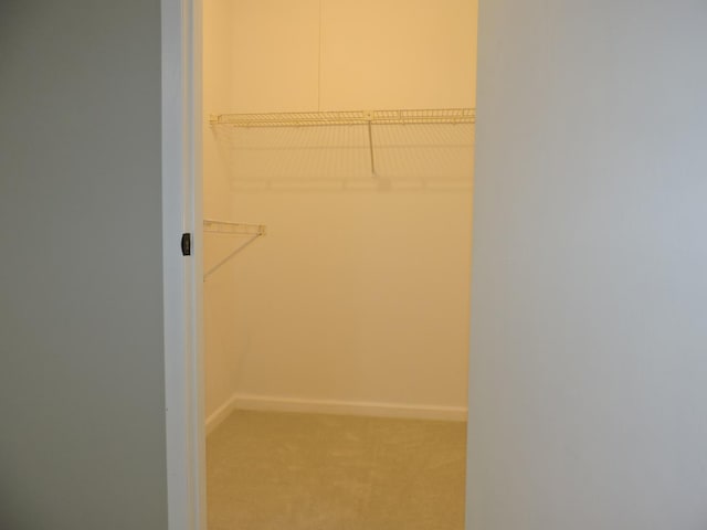 2030 University Dr, Naperville, IL 60565 - walk in closet with carpet floors