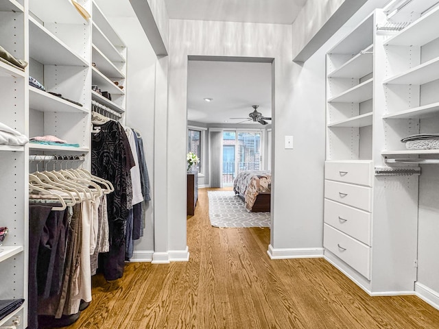 2736 N Hampden Ct Unit 105, Chicago, IL 60614 - spacious closet with wood finished floors and a ceiling fan