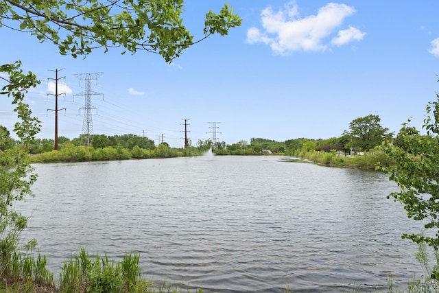 2911 Boone Ct, Joliet, IL 60435 - water view