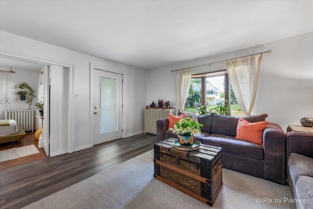 111 W N St, Plano, IL 60545 - living area with radiator, wood finished floors, and baseboards